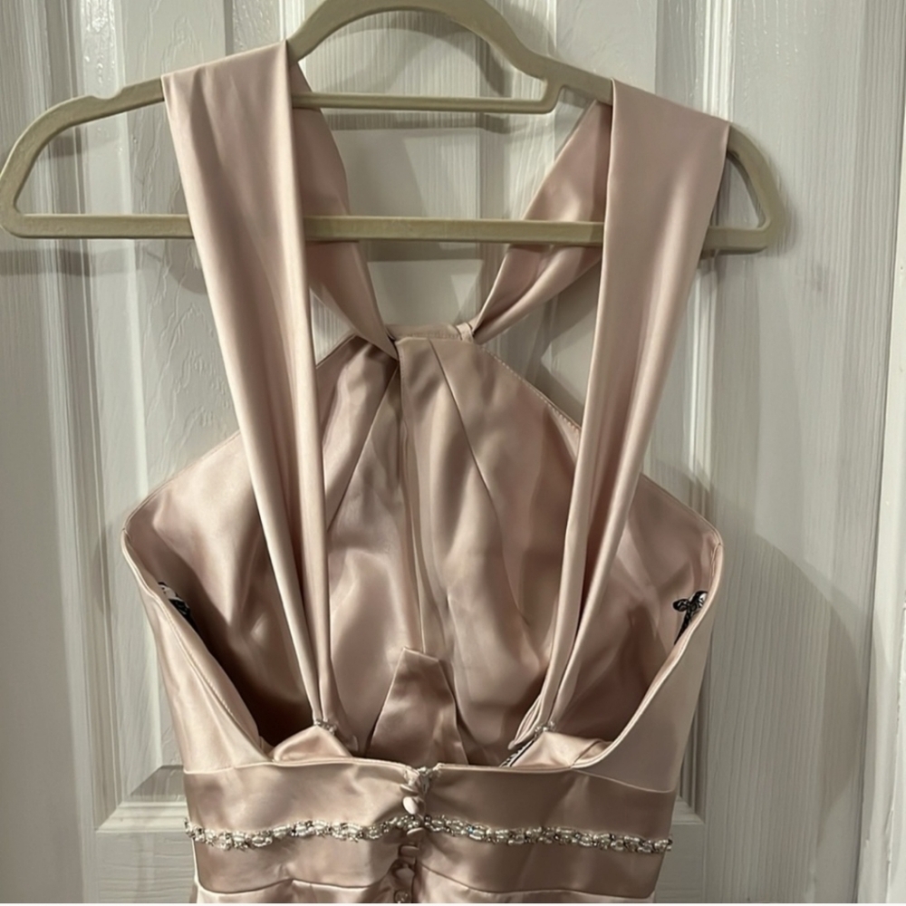 Elegant Pink Evening Dress - Picture 8 of 9